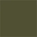 Pulverlakk, RAL6009