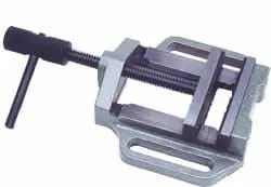 Borstikke