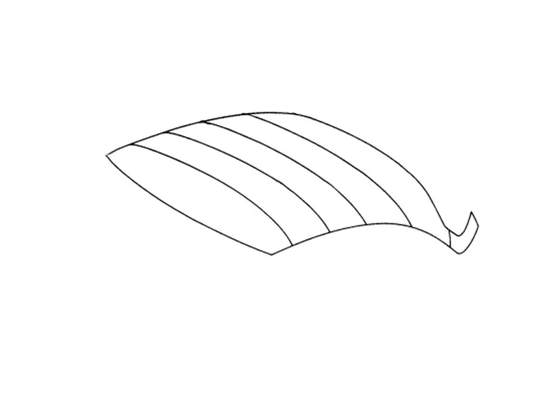 Porsche 356 ABC COUPE HEADLINER PERFORERT SORT